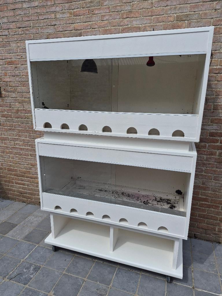 Terrarium (stelling) uit betonplex, Dieren en Toebehoren, Reptielen en Amfibieën | Toebehoren, Ophalen, Gebruikt, Terrarium of Paludarium