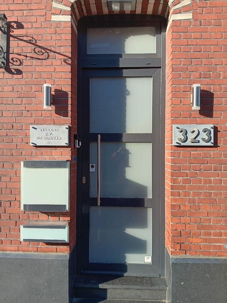 Voordeur pvc profel, Doe-het-zelf en Bouw, Ophalen, 80 tot 100 cm, 215 cm of meer, Glas
