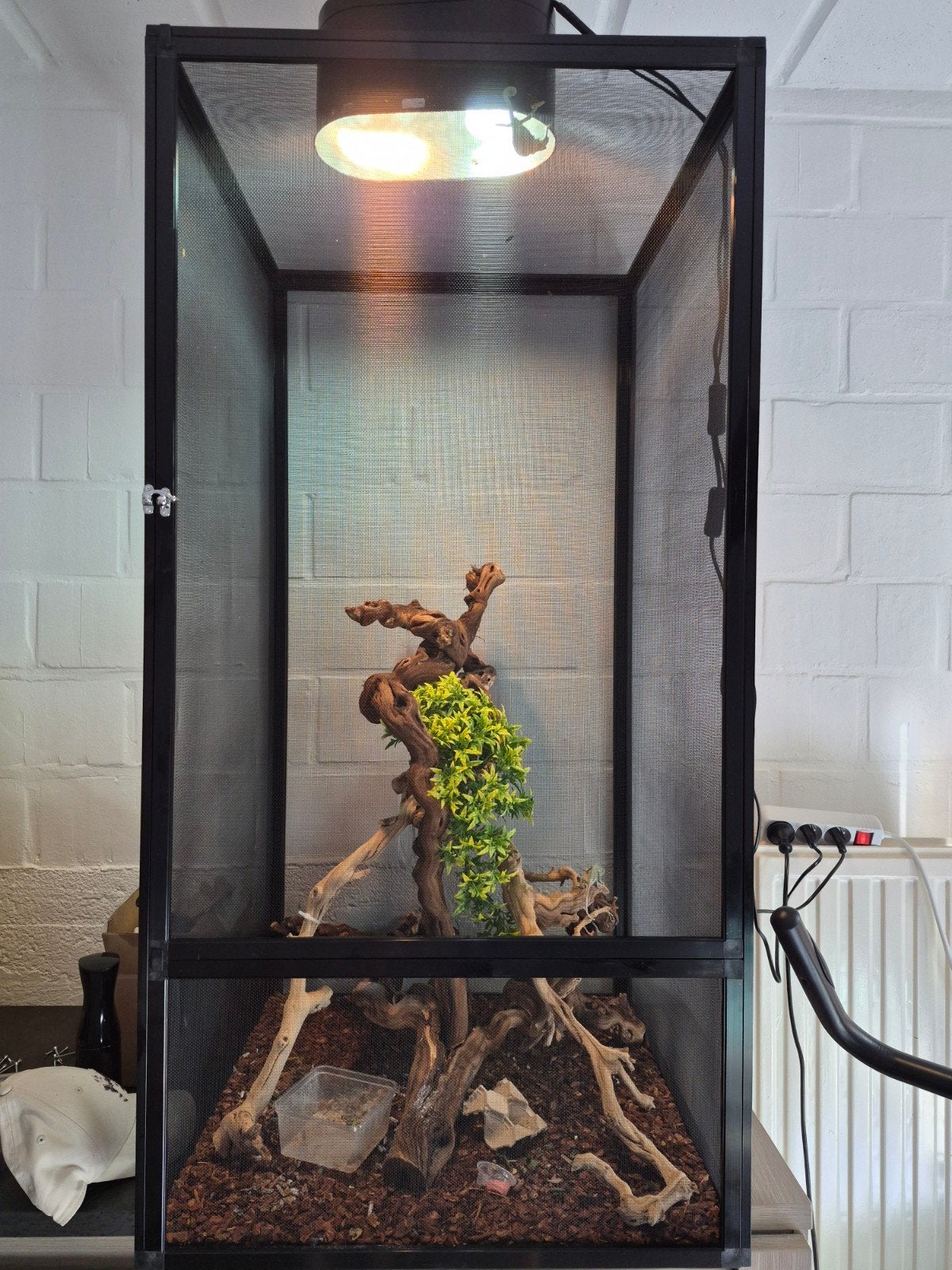 Nouvelles terrarium, lampes, pleins d'accessoires + caméléon, Enlèvement, Neuf, Terrarium ou Paludarium