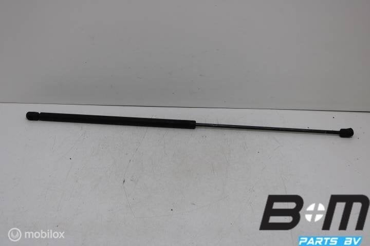 Gasdrukveer motorkap Audi A6 4B Avant Allroad 4B0823359C, Gebruikt