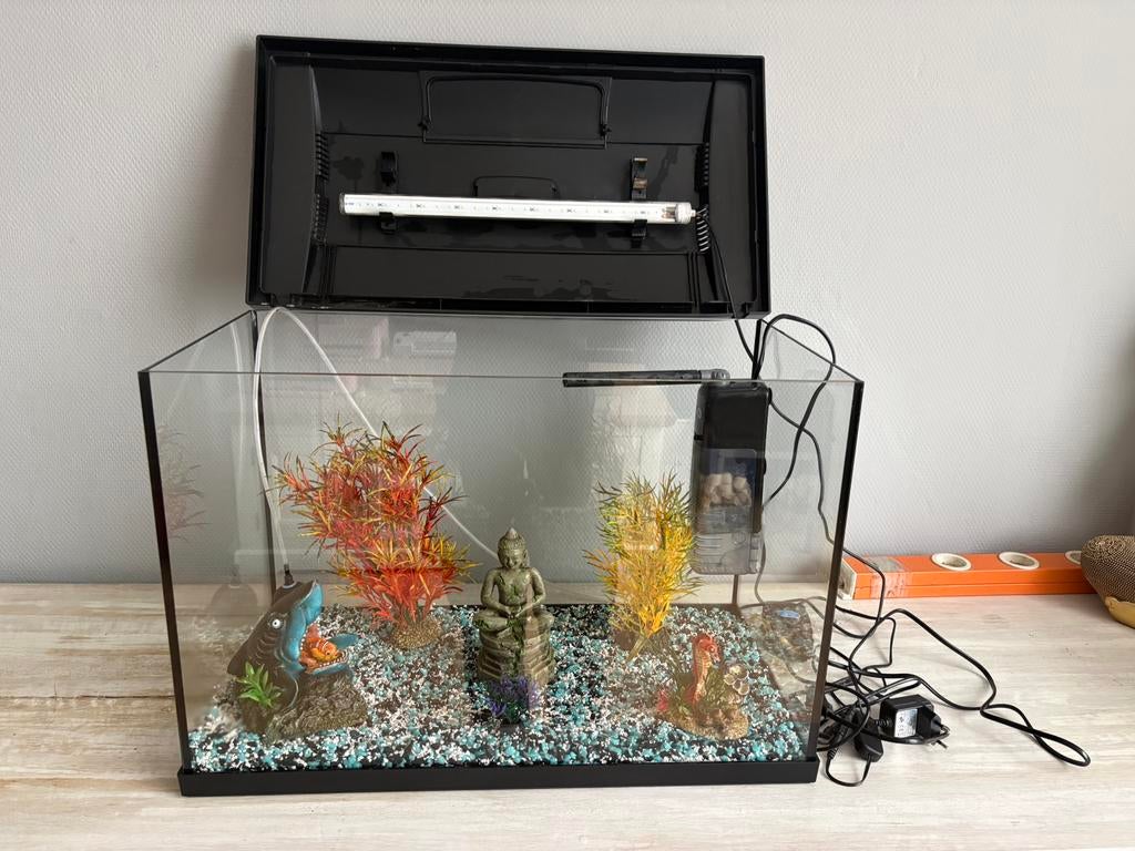 Aquarium te koop, Dieren en Toebehoren, Vissen | Aquaria en Toebehoren, Ophalen, Zo goed als nieuw