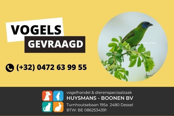 Exoten gevraagd