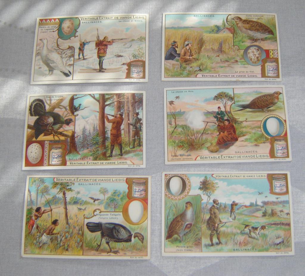 Chromos Liebig S703 avec bocaux, Collections, Avant 1940, Gravure, Utilisé, Autres sujets/thèmes