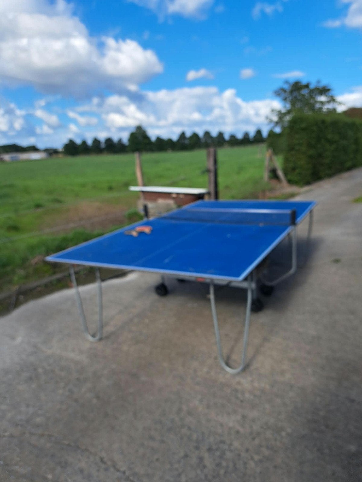 pingpongtafel, Sport en Fitness, Ophalen, Zo goed als nieuw, Inklapbaar