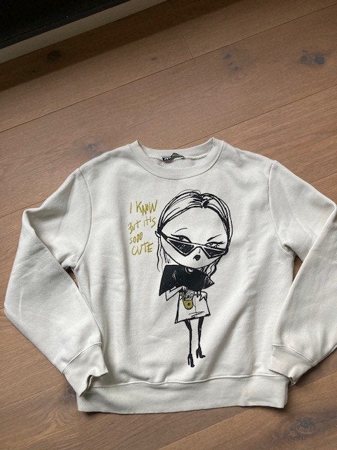 Gilets-sweater Zara/Massimo Dutti/JBC maat S @5€, Kleding | Dames, Zara-Massimo-JBC, Ophalen of Verzenden, Maat 36 (S), Overige kleuren