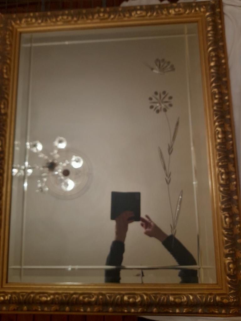 Spiegel, Bloem ,  Vlinder ., Enlèvement