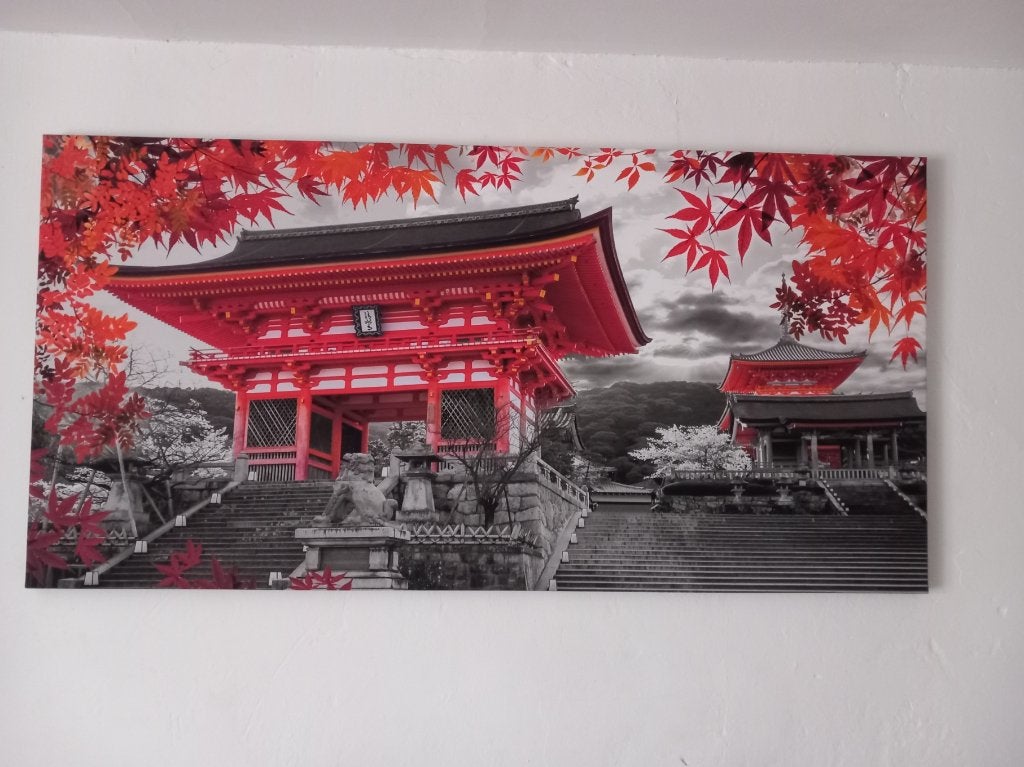 Cadre du Japon, Maison & Meubles, Neuf, 50 cm, Multicolore, Enlèvement