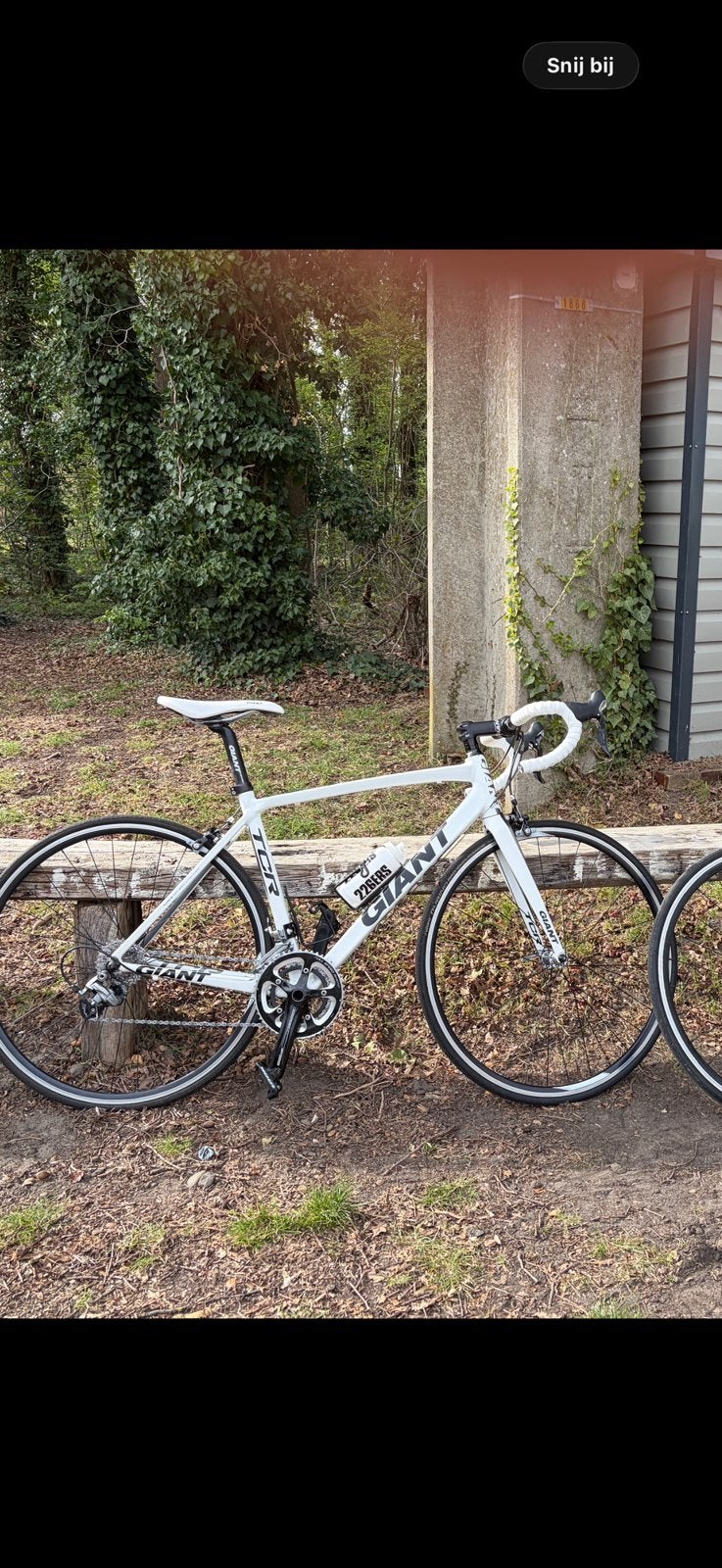 Giant tcr limited edition, Ophalen of Verzenden, Zo goed als nieuw, Giant