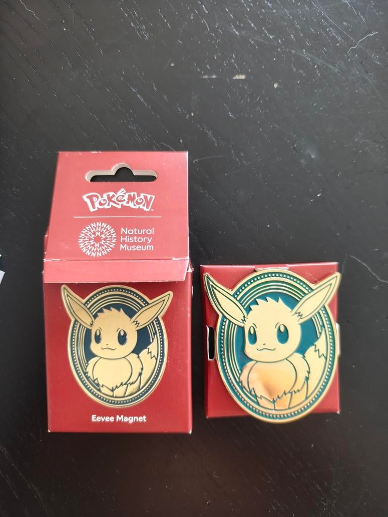 Unieke Eevee magneet, Hobby en Vrije tijd, Ophalen of Verzenden