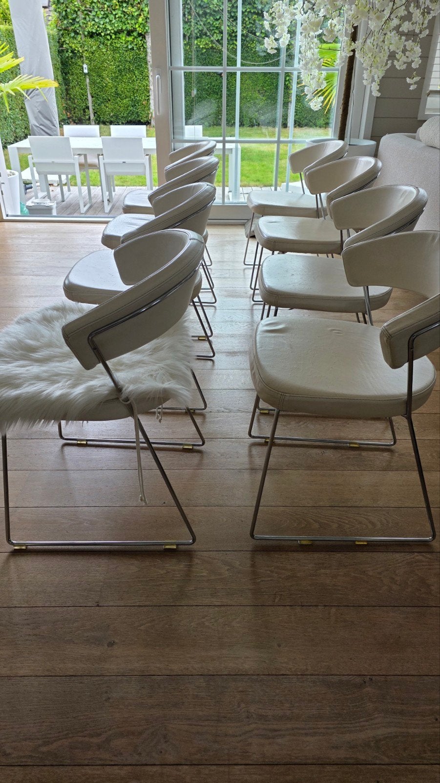 8 chaises en cuir Calligaris, Enlèvement, Cuir