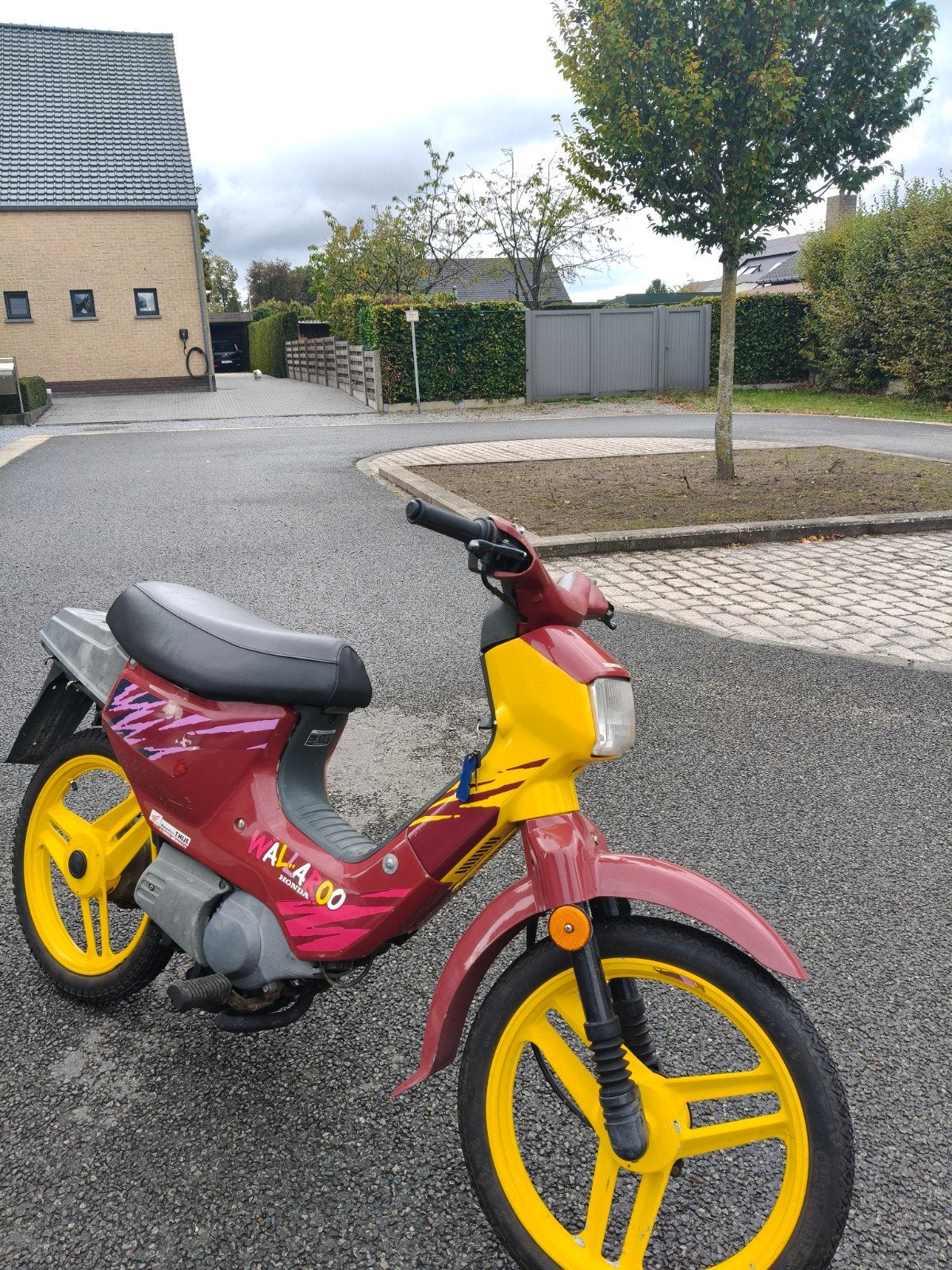 Honda wallaroo custom b klasse, Fietsen en Brommers, Ophalen, Gebruikt, Overige modellen, Klasse B (45 km/u)