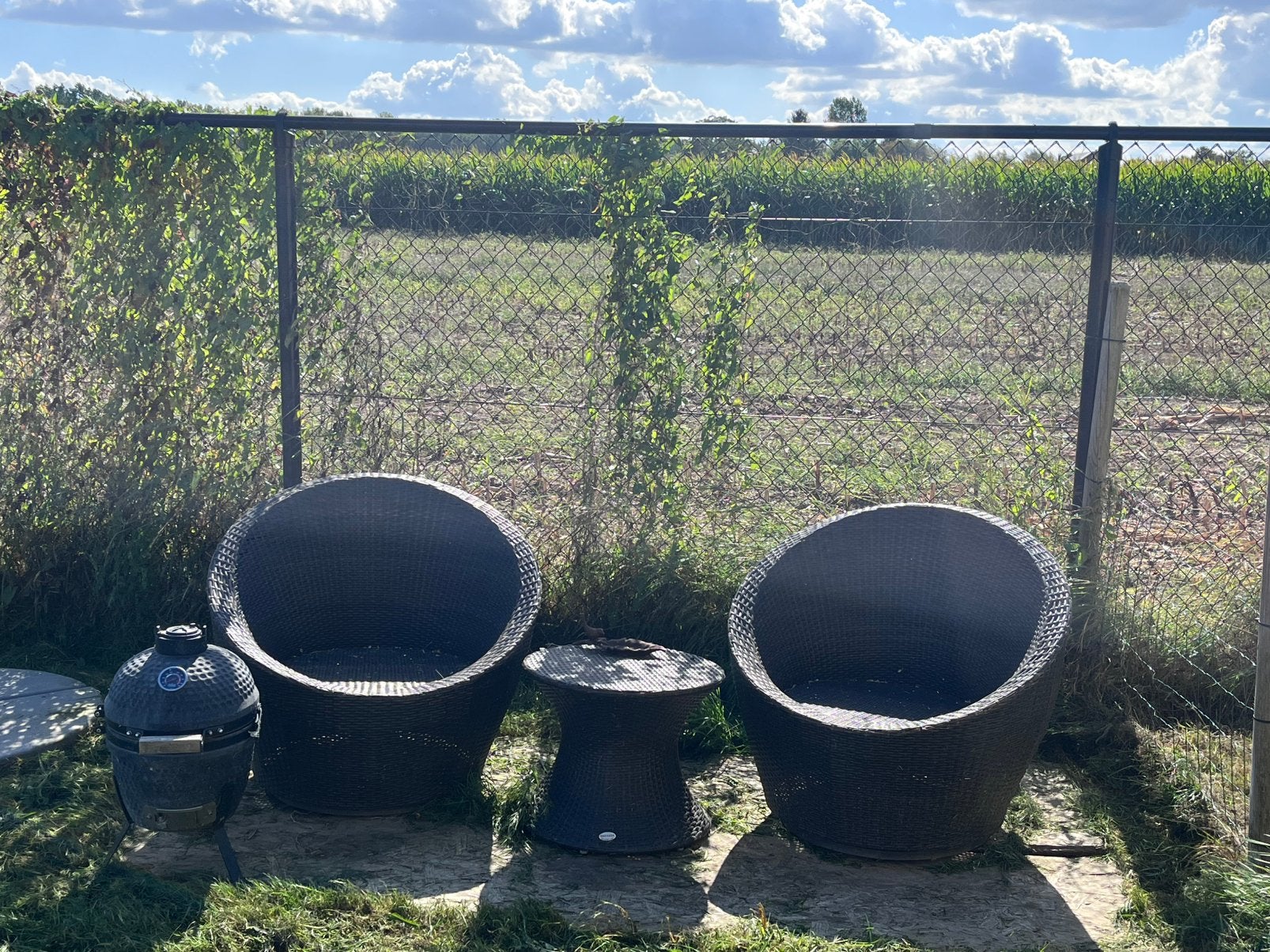 Rotan zeteltjes wicker, Tuin en Terras, Ophalen, Gebruikt
