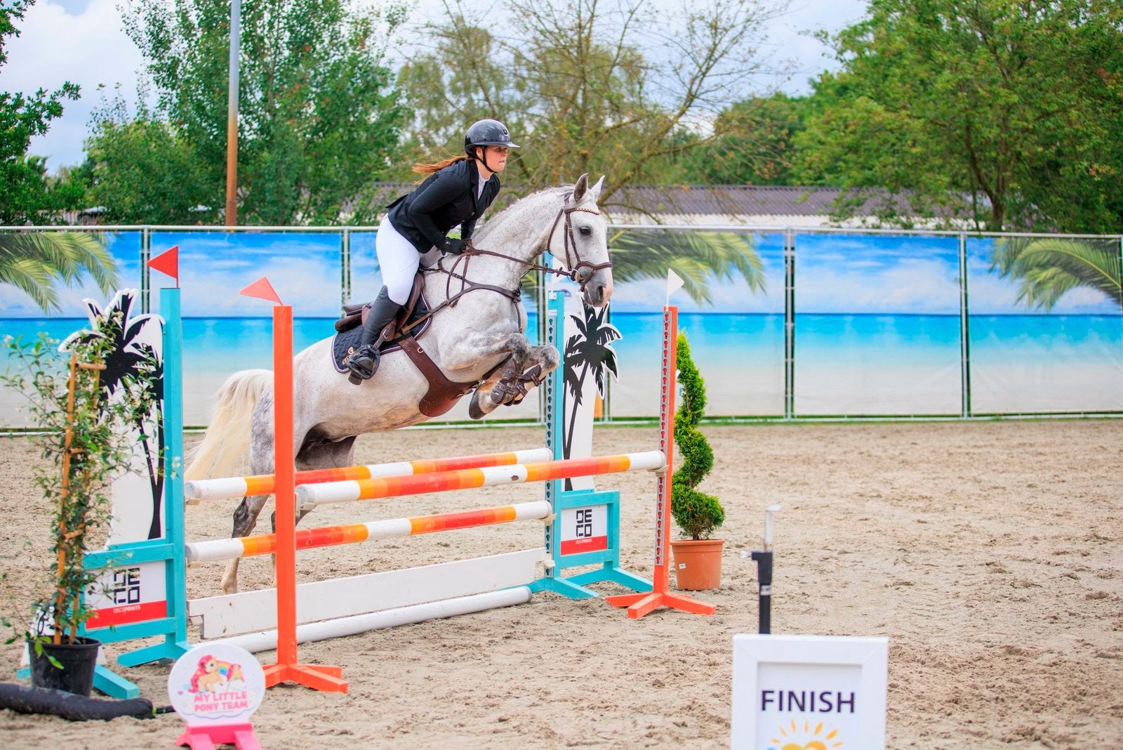 Springpaard 162m, Dieren en Toebehoren, Paarden, Merrie, L, 160 tot 165 cm, 7 tot 10 jaar, Springpaard, Met stamboom, Gechipt