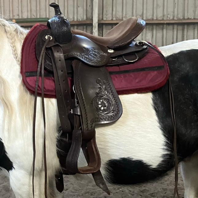Edix Django, Dieren en Toebehoren, Paarden en Pony's | Hoofdstellen en Tuigage, Ophalen, Nieuw, Western