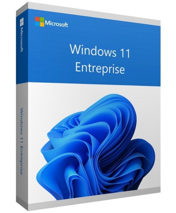 Windows 11 Enterprise CD Key, Envoi, Neuf, Windows