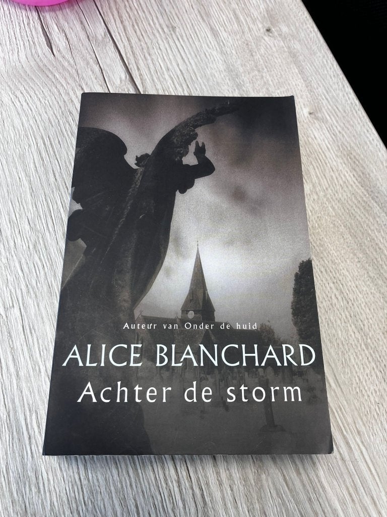 Achter de storm | Alice Blanchard, Livres, Enlèvement ou Envoi, Door Alice Blanchard, Comme neuf, Amérique