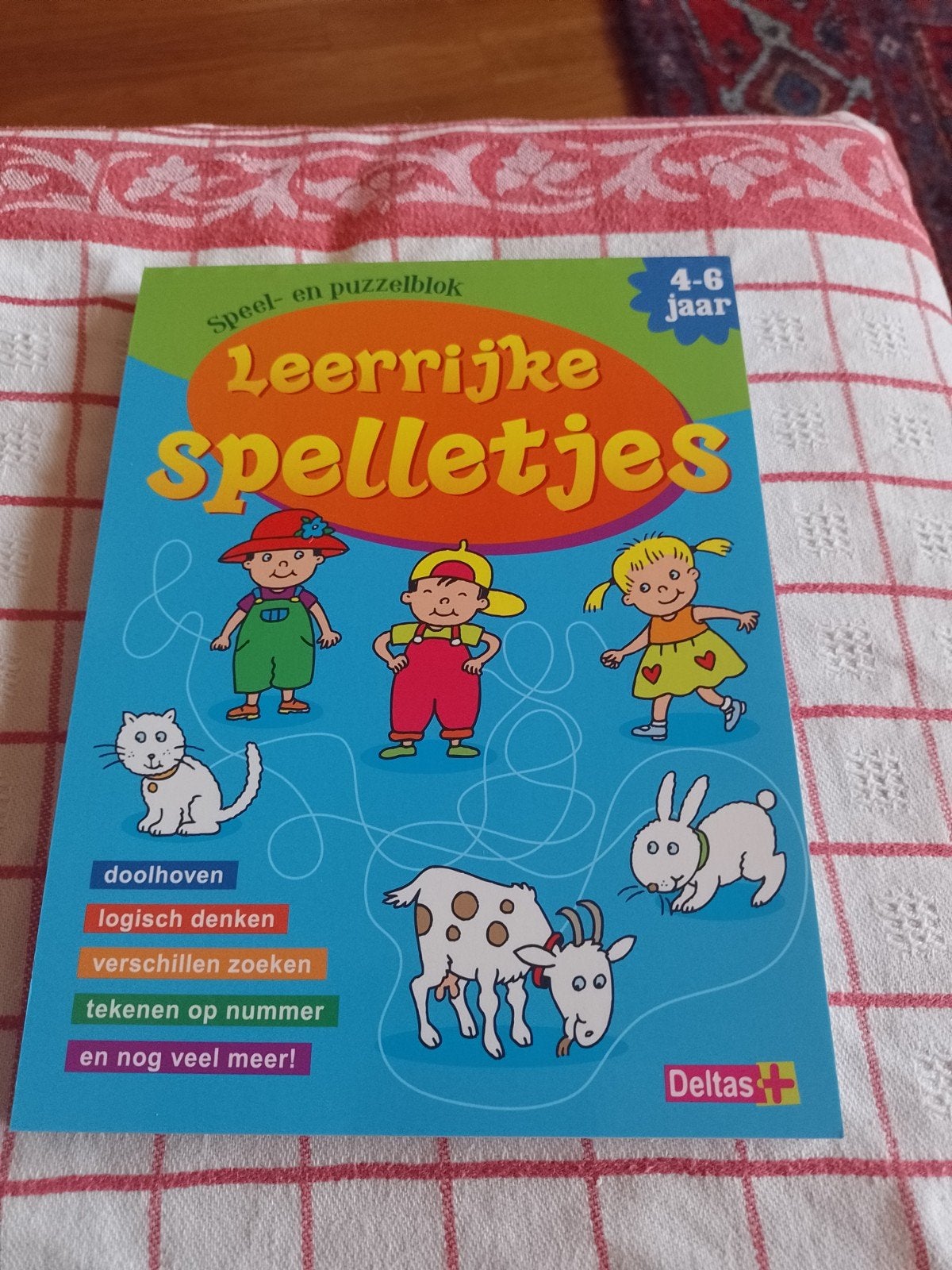 Leerrijke spelletjes 4-6 jaar, Ophalen of Verzenden