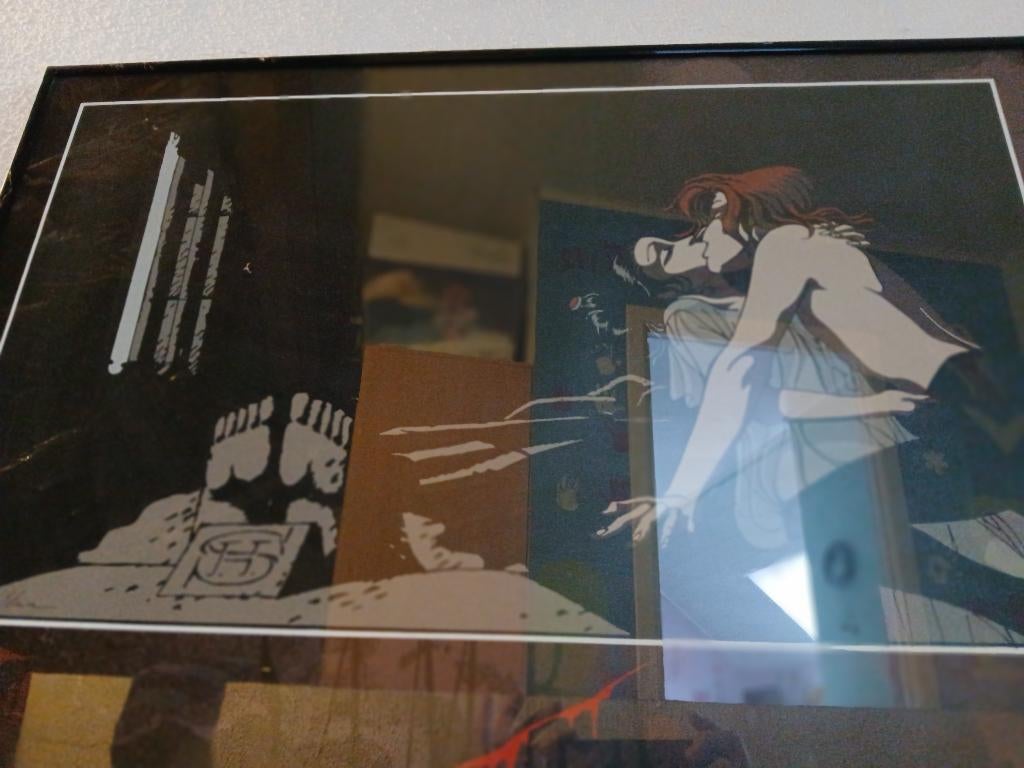 Sambre poster, Livres, Enlèvement, Comme neuf