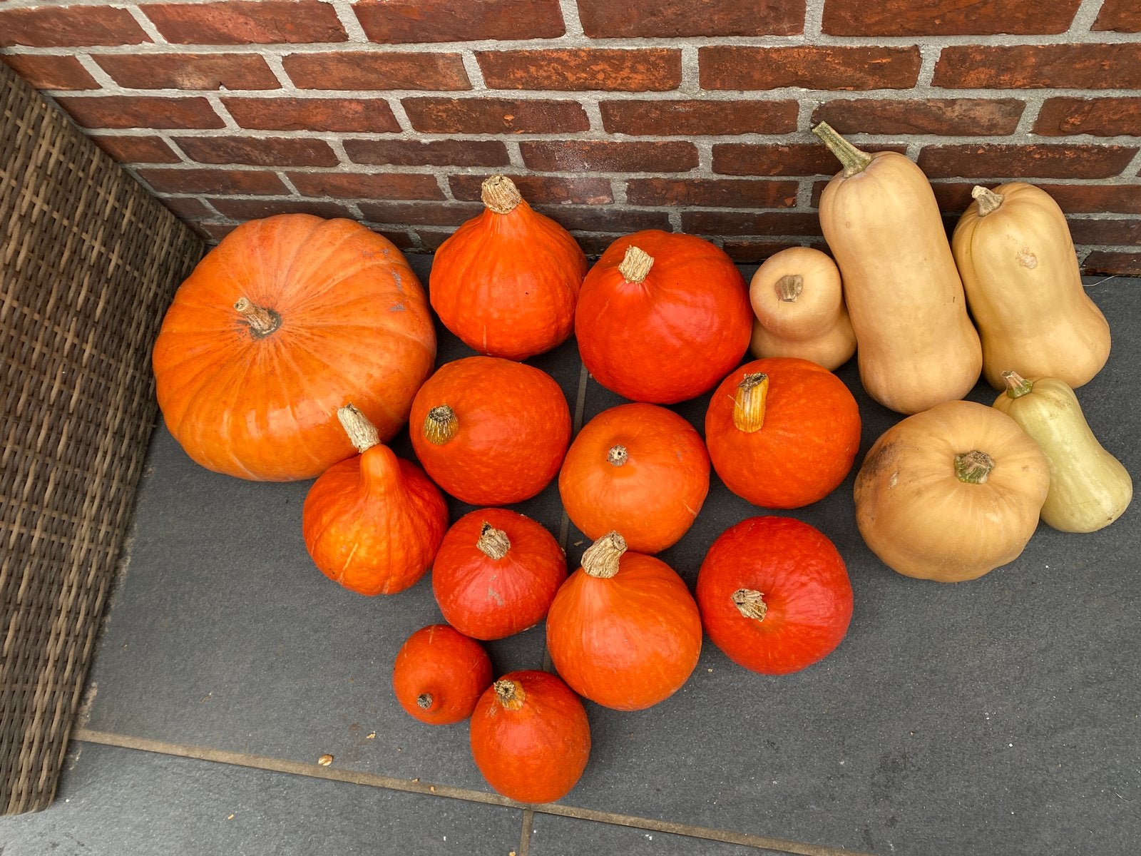 Pompoenen te koop, Diversen, Ophalen