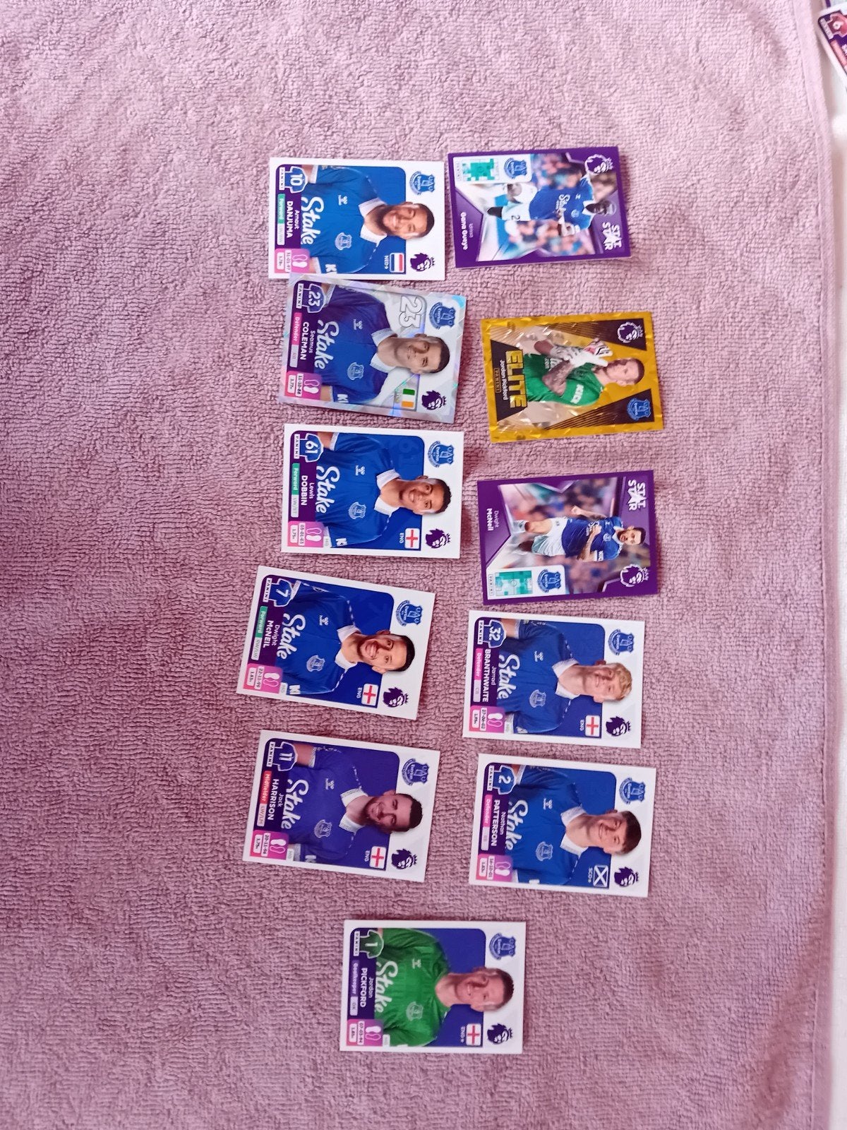 Premier league everton, Postzegels en Munten, Ophalen