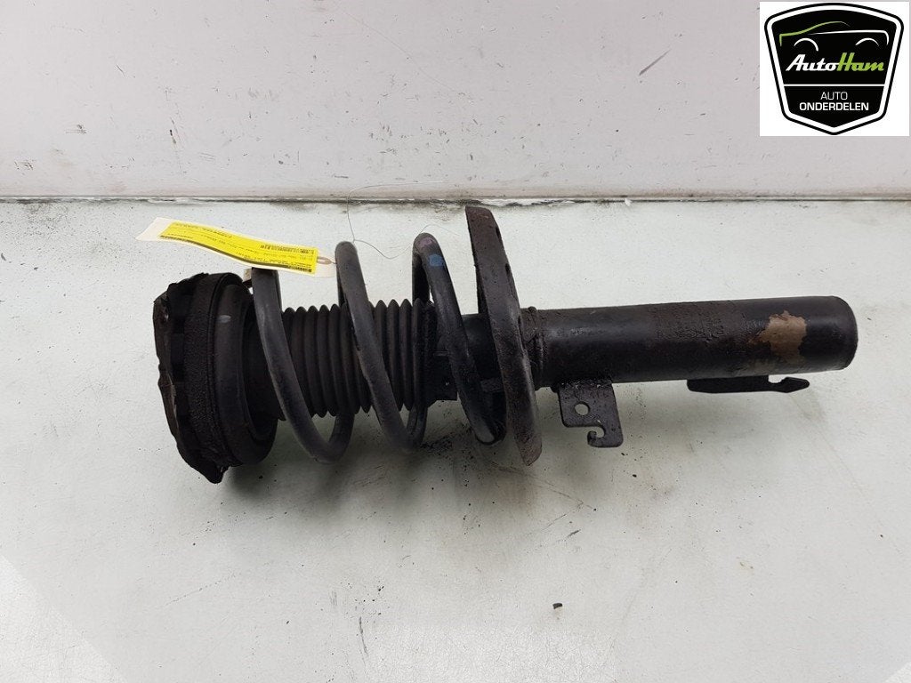 AMORTISSEUR OU ABSORBEUR DE CHOC AVANT GAUCHE (|543020054R|), Renault, Utilisé, Peter-Huppertz-Straße 5
51063  Köln, DE, Dialog.deutschland@renault.de