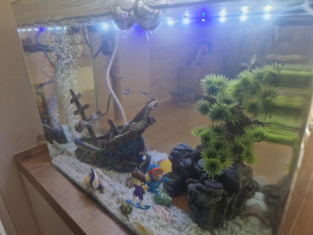Aquarium te koop met alle accessoire Luchtpomp Waterfilter, Dieren en Toebehoren, Vissen | Aquaria en Toebehoren, Ophalen