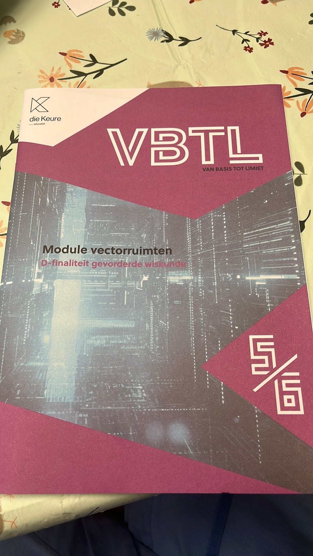 VBTL 5/6 - module Vectorruimten - D-gevorderde wiskunde, Boeken, Ophalen of Verzenden, Nieuw, ASO, Wiskunde A