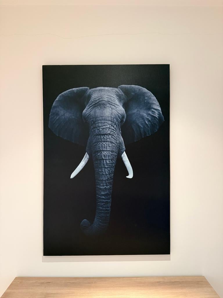 Canvas olifant, Ophalen