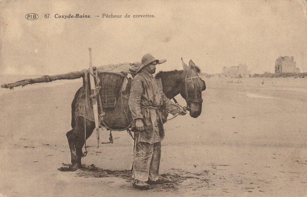 Coxyde de Coxyde, Collections, Envoi