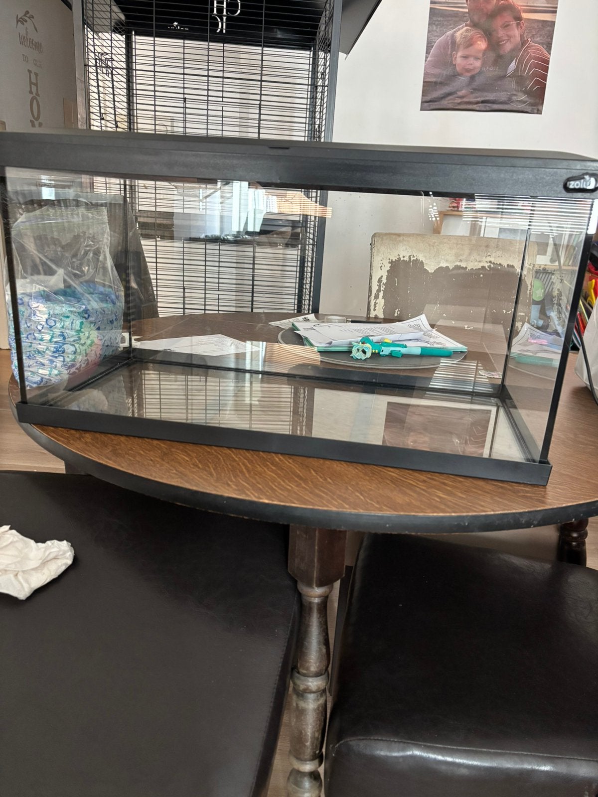 Aquarium 60L, Poisson, Poisson d'eau douce