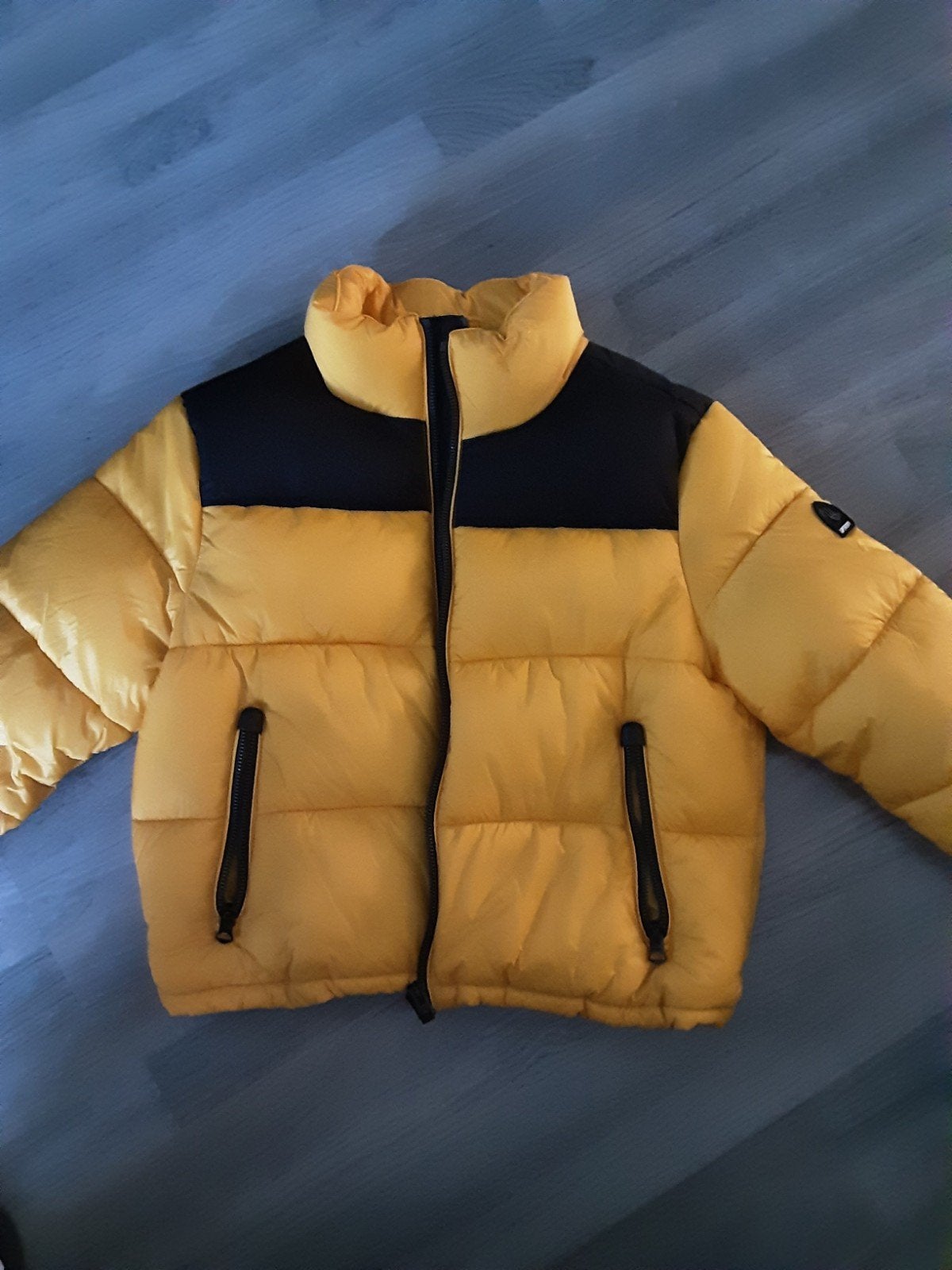 jas Superdry Maat 42, Kleding | Dames, Ophalen of Verzenden