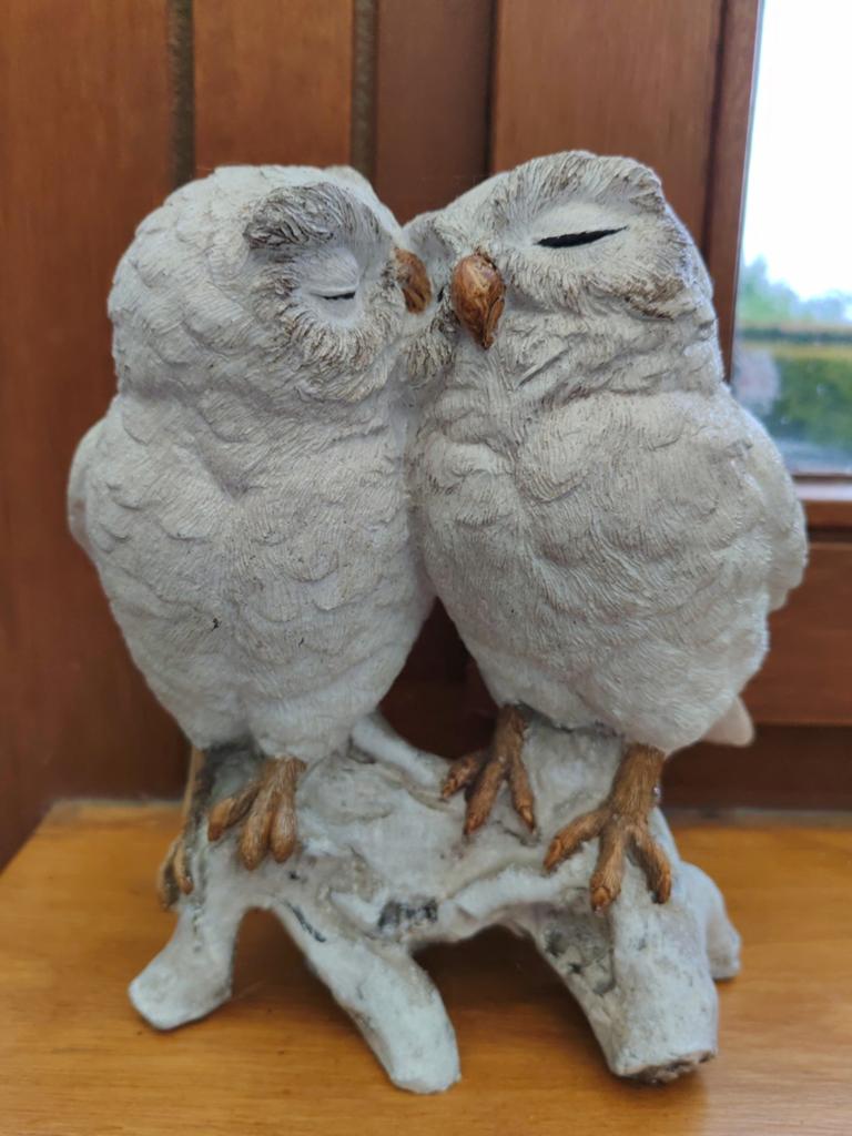 Couple de chouettes, Jardin & Terrasse, Enlèvement