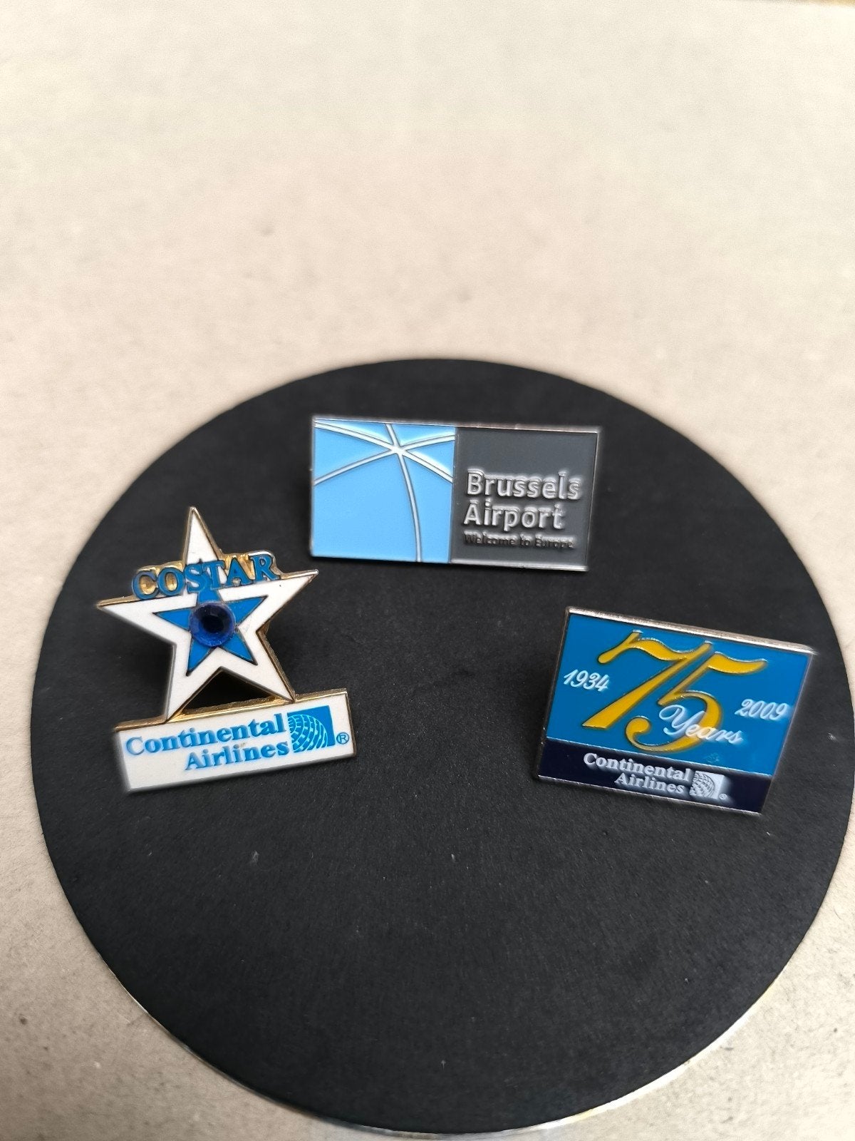 Lot luchtvaart pins, Enlèvement