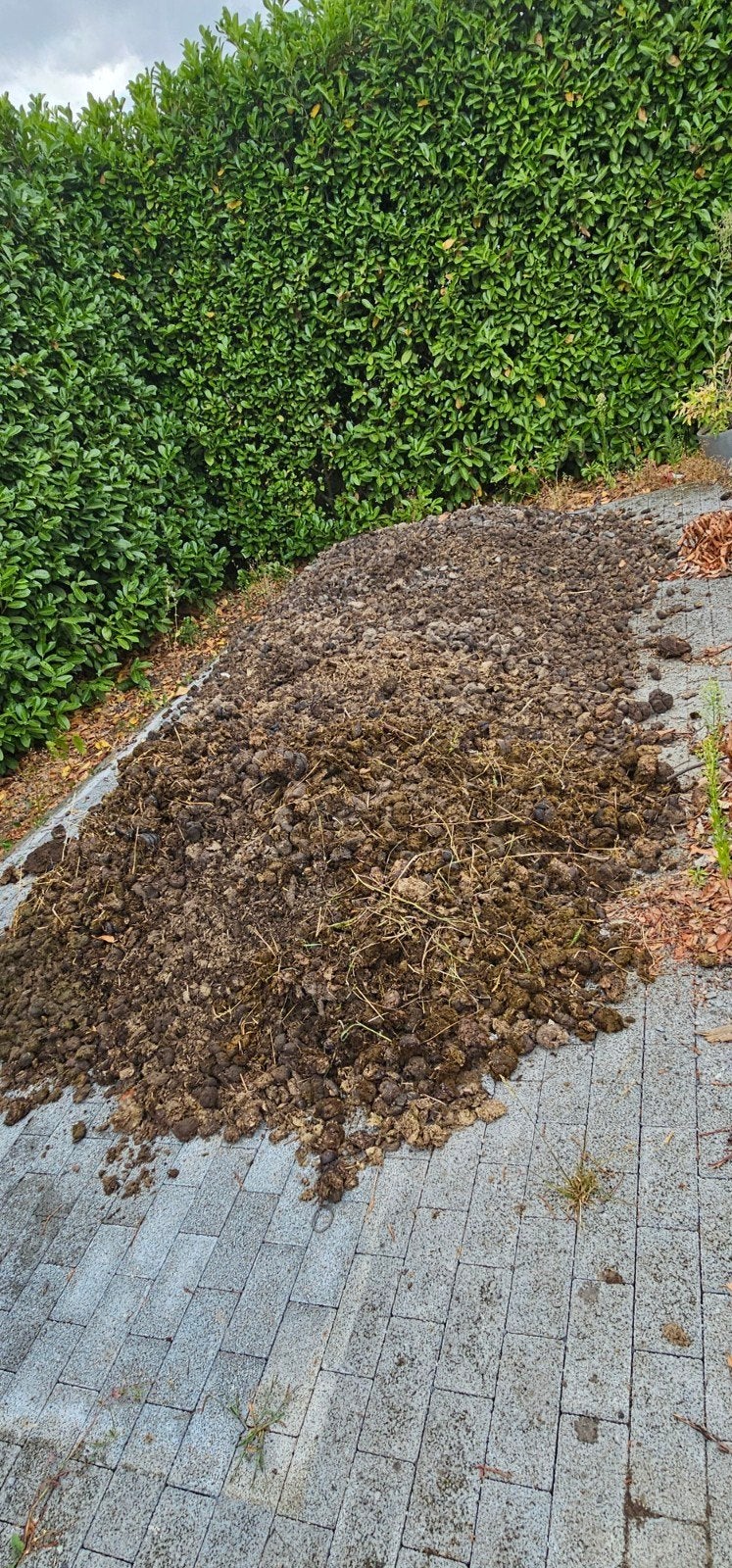 GRATIS paardenmest (Meerhout), Tuin en Terras, Ophalen