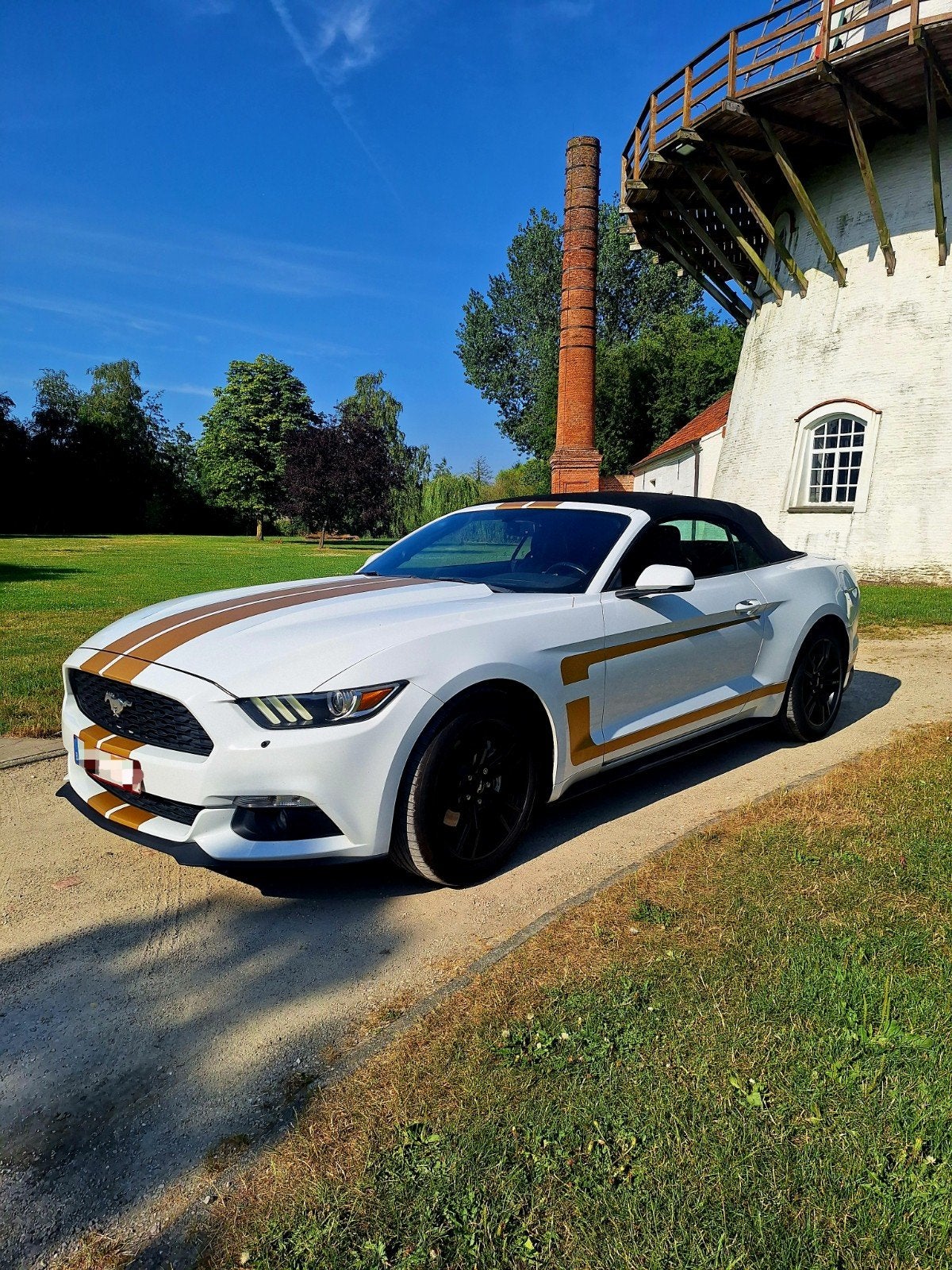 Ford, Auto's, Ford, Bedrijf, Te koop, Mustang