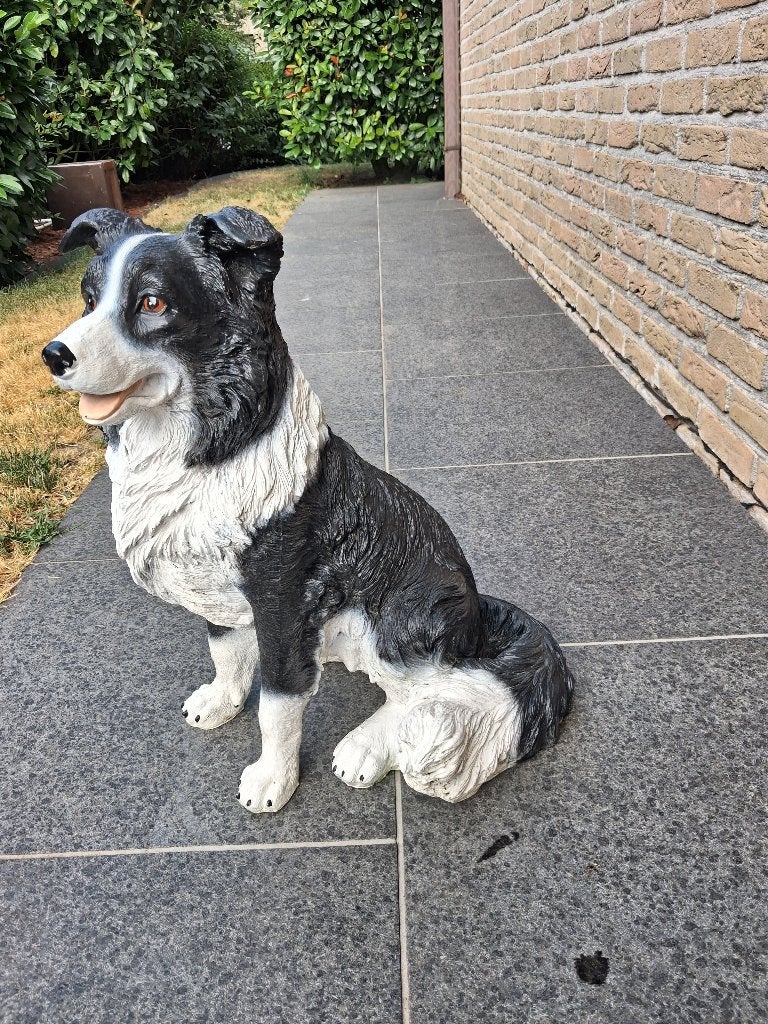 Mooi beeld 50 cm border collie, Enlèvement