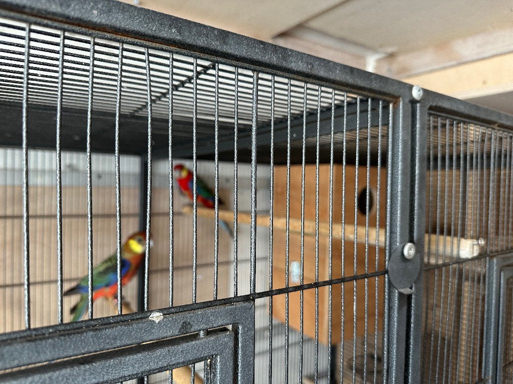 2 koppel Stanley vogels