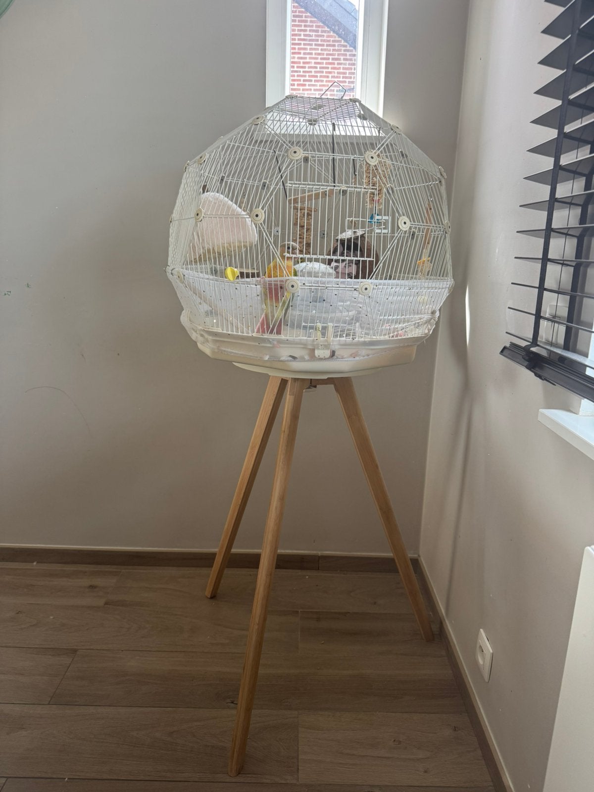Cage oiseau, Enlèvement, Comme neuf, Métal, Cage à oiseaux