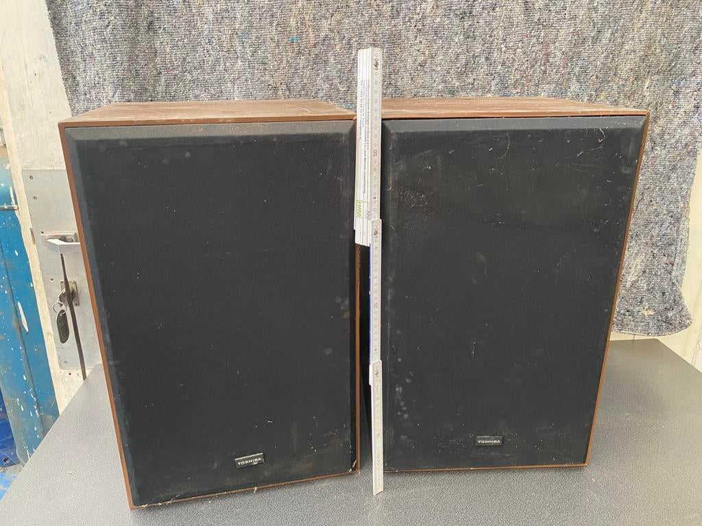 Enceintes TOSHIBA, TV, Hi-fi & Vidéo, Enceintes, Enlèvement, Utilisé, Autres marques