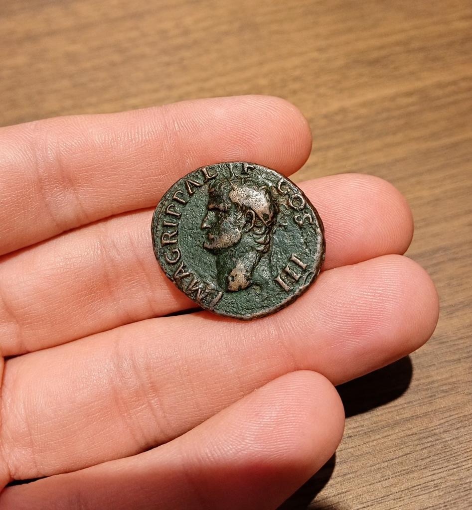 Agrippa as, geslagen door Caligula. Intacte patina, Ophalen of Verzenden