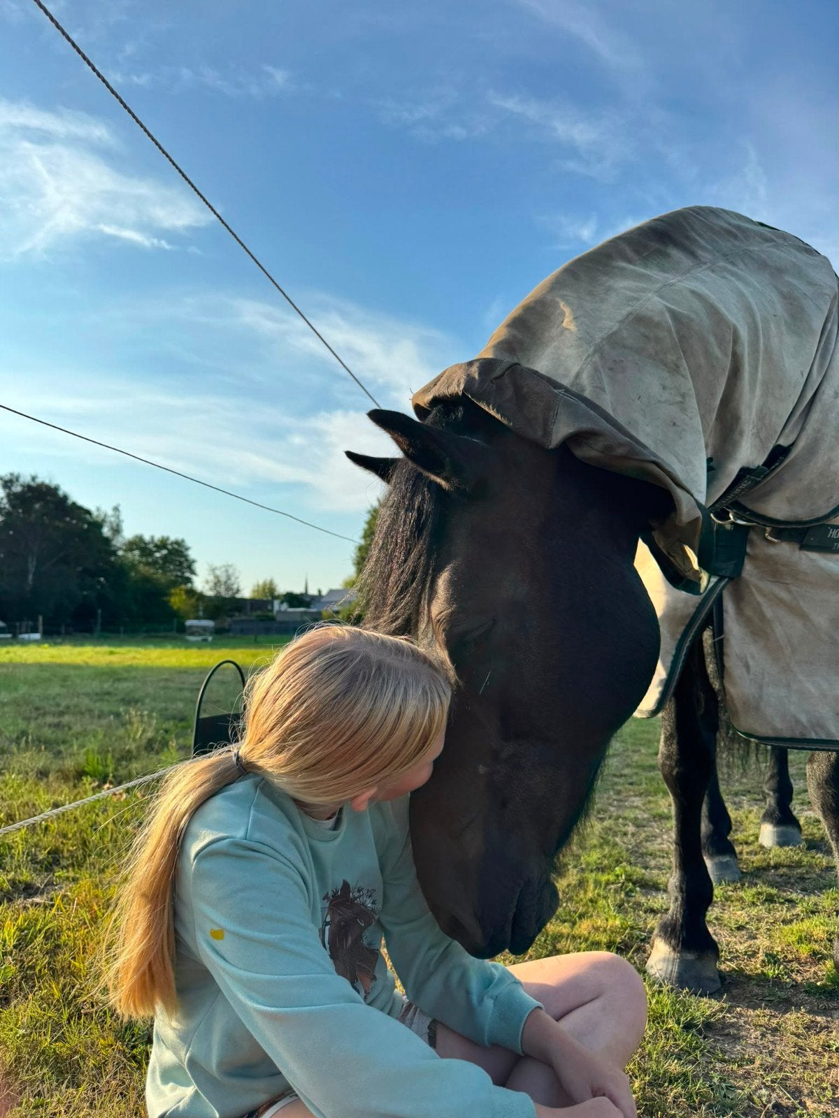 top D-pony te koop - clubkampioen 2026, Dieren en Toebehoren, Ophalen