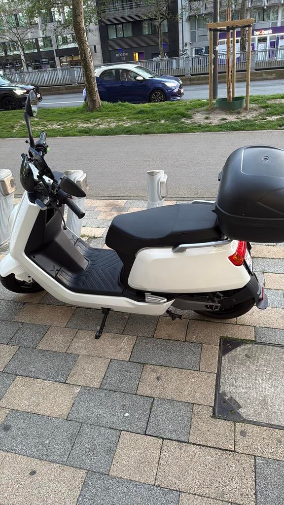 scooter électrique   Marc : Niu n1s Classe :À  sans permis, Comme neuf, Enlèvement, Classe A (25 km/h), Électrique