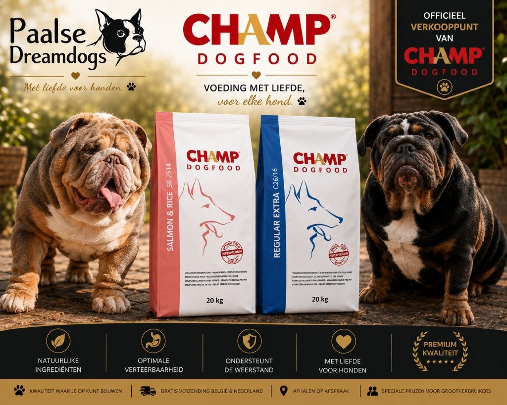 Champ Dogfood – Officieel verkooppunt België |, Enlèvement, Chien