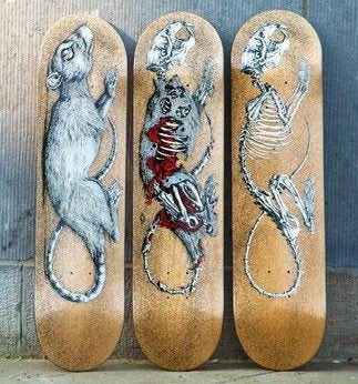 GEZOCHT ROA - DECAY -, Antiek en Kunst, Ophalen