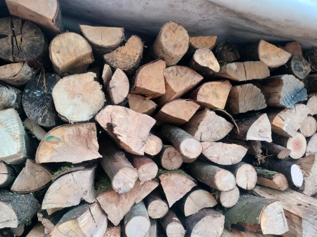 Bois de chauffage, Jardin & Terrasse, Enlèvement ou Envoi, Hêtre, Bûches