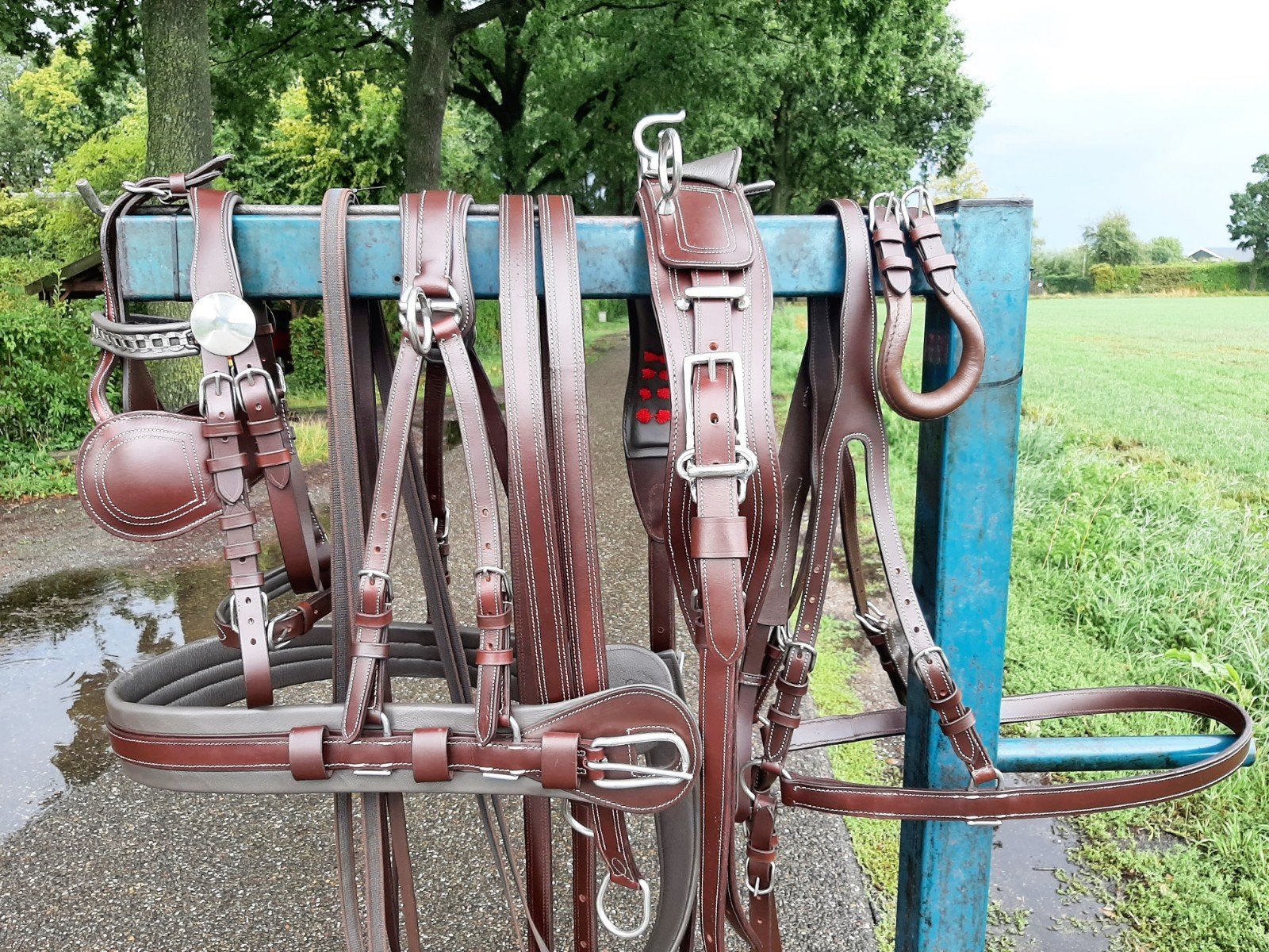 💢NIEUW MOOI ZWART OF BRUIN CHIQUE 1 SPAN TUIG 360€, Bruin, Ophalen of Verzenden, Zacht onderlegd, Cob