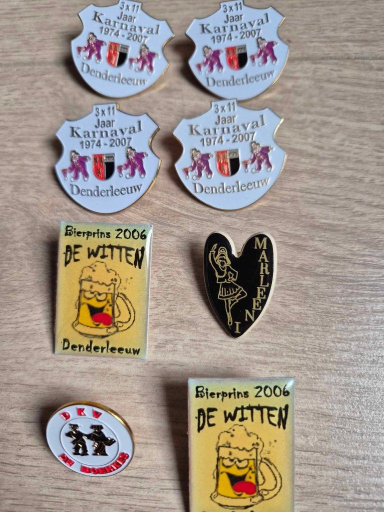 Carnaval Denderleeuw pins, Verzamelen, Speldjes, Pins en Buttons, Ophalen of Verzenden