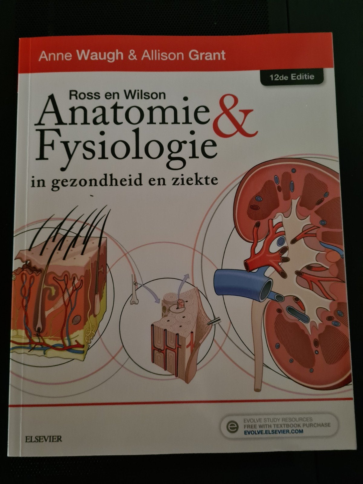 Anatomie en fysiologie, Ophalen