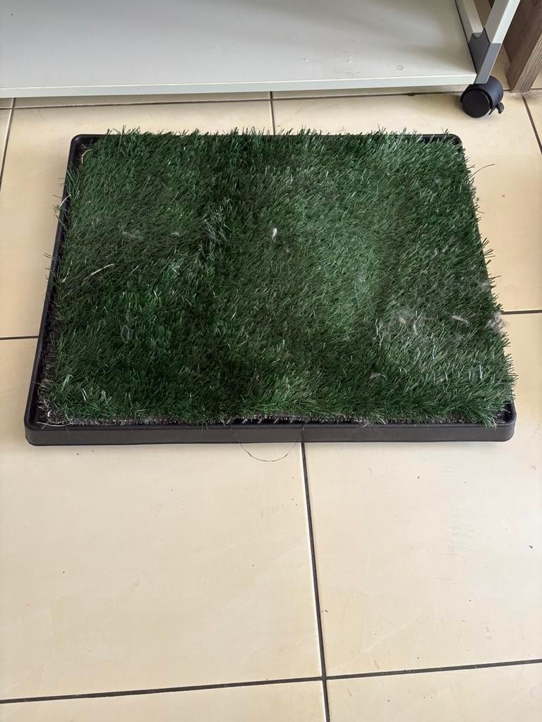 Puppy trainer, Ophalen, Gebruikt