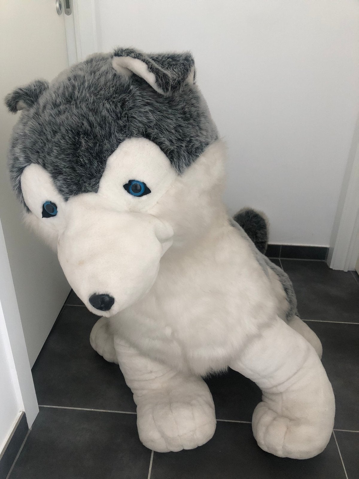 Grote husky knuffel hond, Ophalen, Gebruikt, Hond, Groot (groter dan 80 cm)